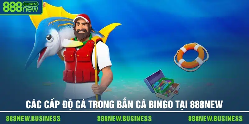 Các cấp độ cá và tỷ lệ thưởng trong bắn cá Bingo tại 888new